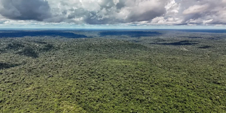 devastacao-na-amazonia-ameaca-a-maior-maquina-de-chuva-do-mundo