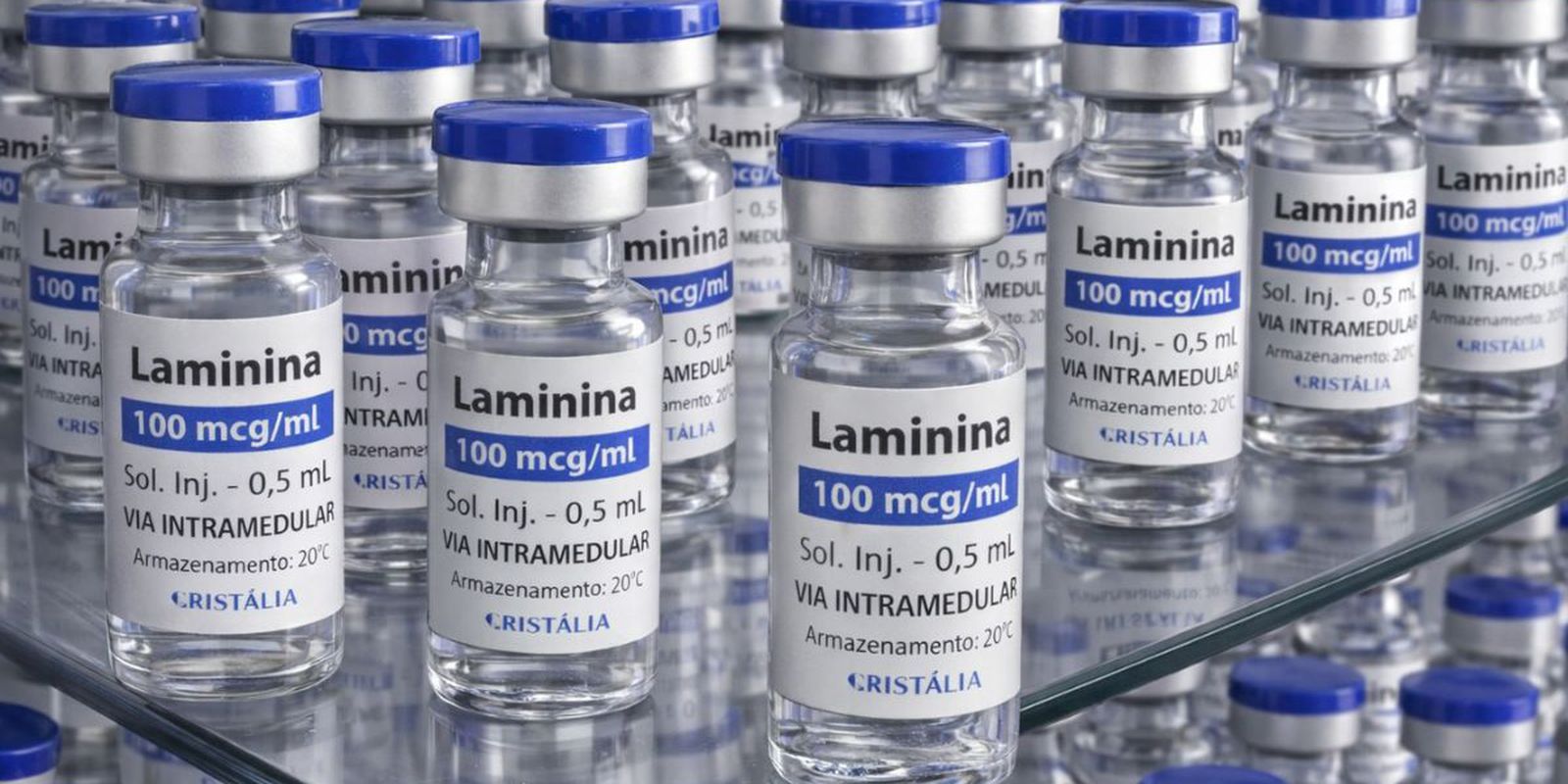 Testes clínicos da polilaminina começam em 24 de setembro