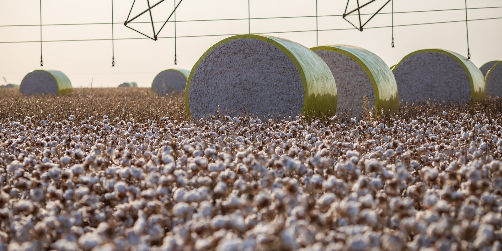 Sorriso perde liderança na produção agrícola com criação de novo município