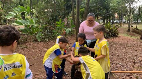 Guarulhos celebra Dia da Árvore com plantio de 450 mudas nativas