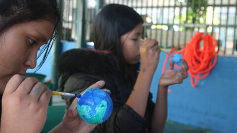 Ensino de Stem exige formação contínua de professores, aponta estudo