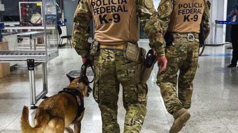 PF prende cinco pessoas e apreende mais de 60 kg de cocaína no Aeroporto de Guarulhos