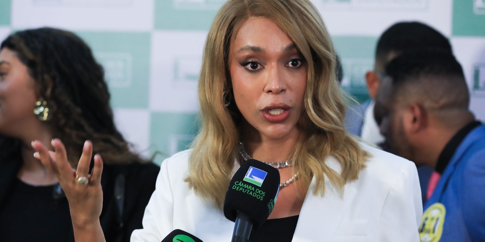 Ministro do TSE libera postagem de Erika Hilton sobre Nossa Senhora Aparecida