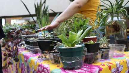 Sesc Guarulhos promove troca de plantas e sementes neste sábado